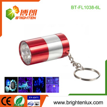 Factory Wholesale Aluminum Cheap Metal Pet Stains Detection Mini Small Pocket 6 LED Black light uv led Keychain